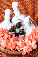 �A���}�{�n�[�u�{�[��