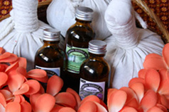 �Î��{�A���}